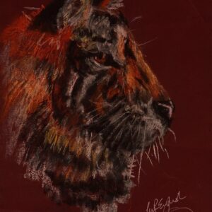 Majestic Tiger's Gaze